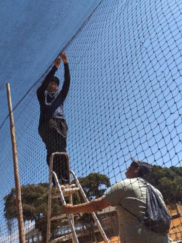 Construção do Batting Cage