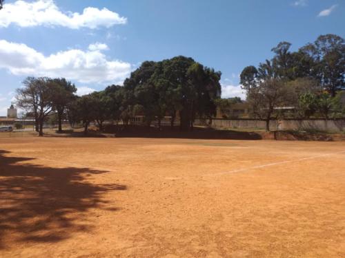 Construção do Batting Cage