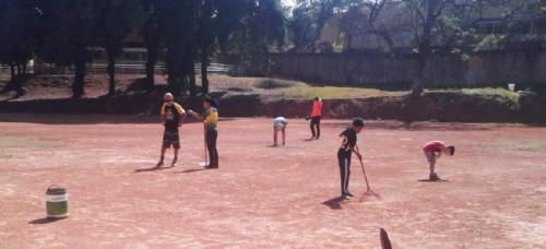 Construção do Batting Cage